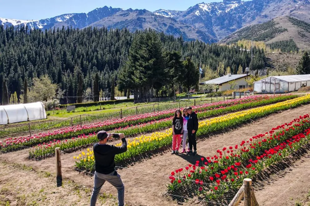 Primavera Mágica: una escapada para descubrir el norte neuquino