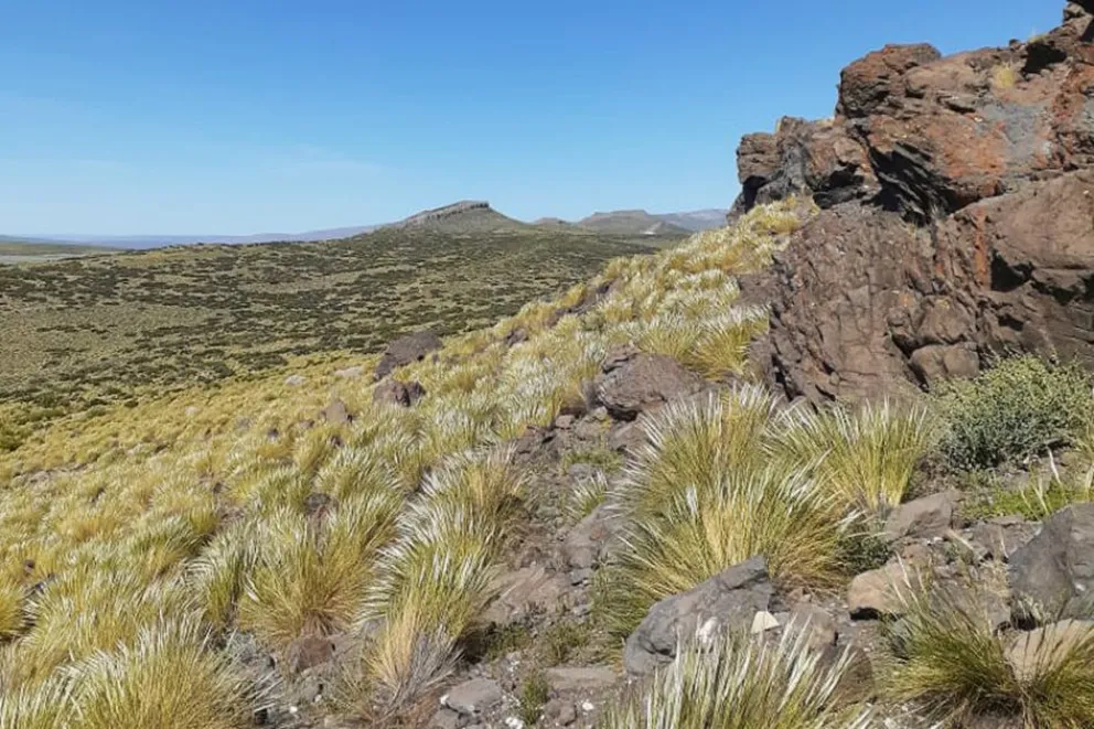 Cuchillo Curá, las cavernas que esconden una vida extraordinaria