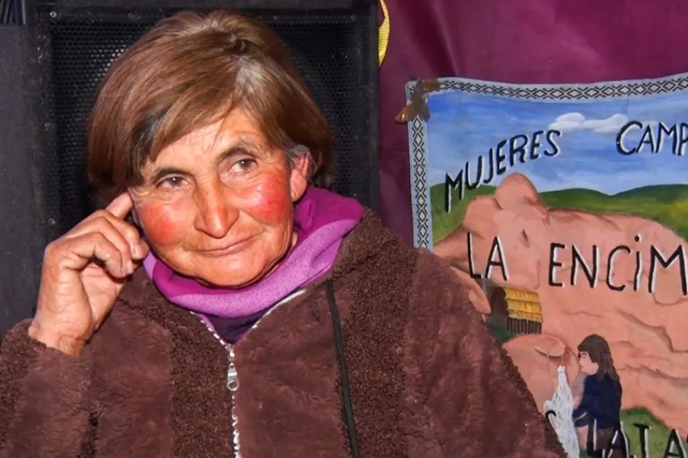 Minies Consuelo Arratia, duranrte la entrevista con RTN.
